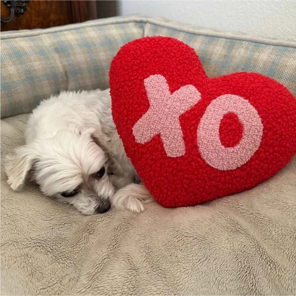 Small Heart Valentine's Day XO Love Pillow - Spritz Target 2025